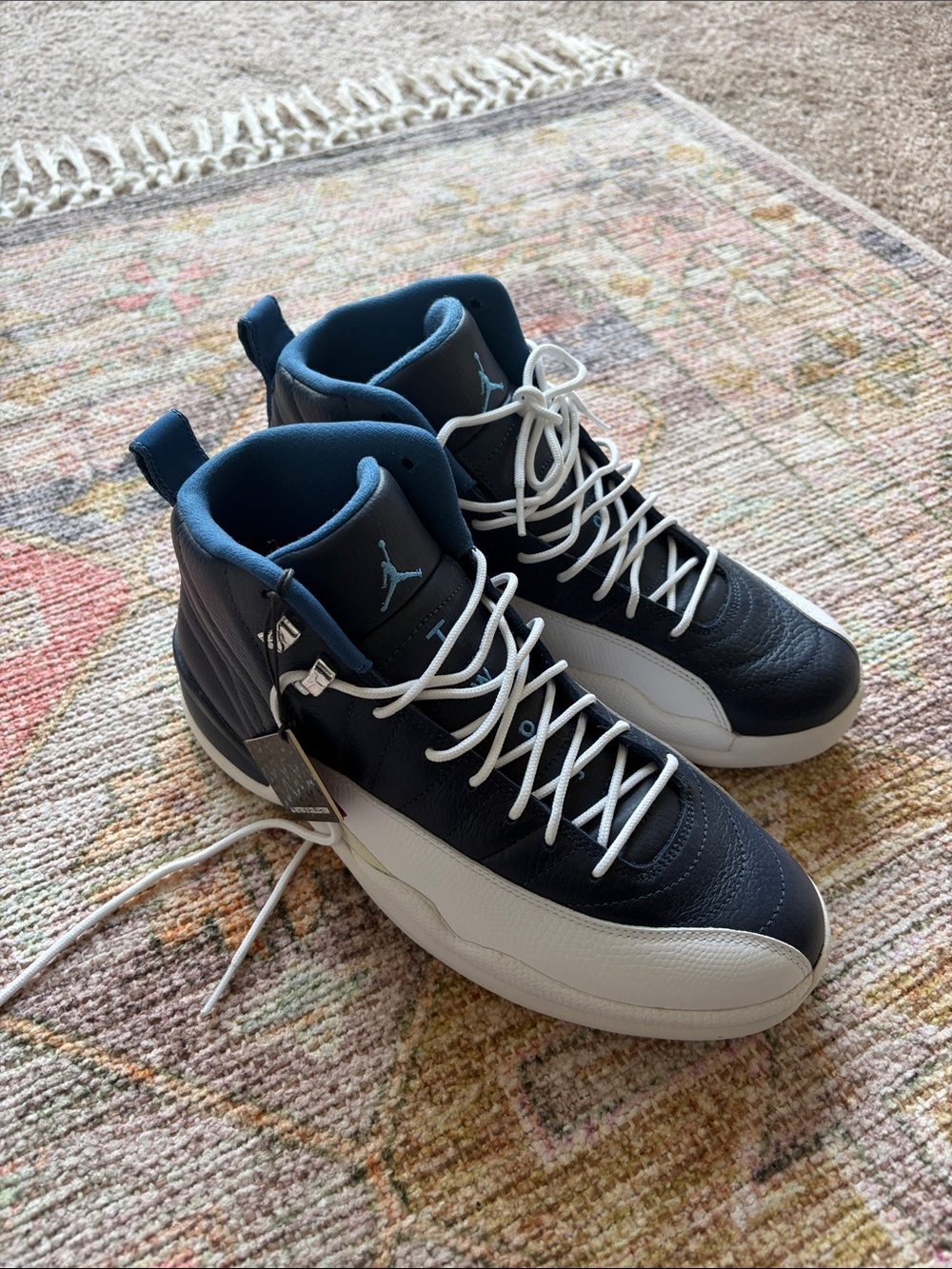 Jordan 12 obsidian size 9.5